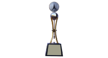 webcrstravel award